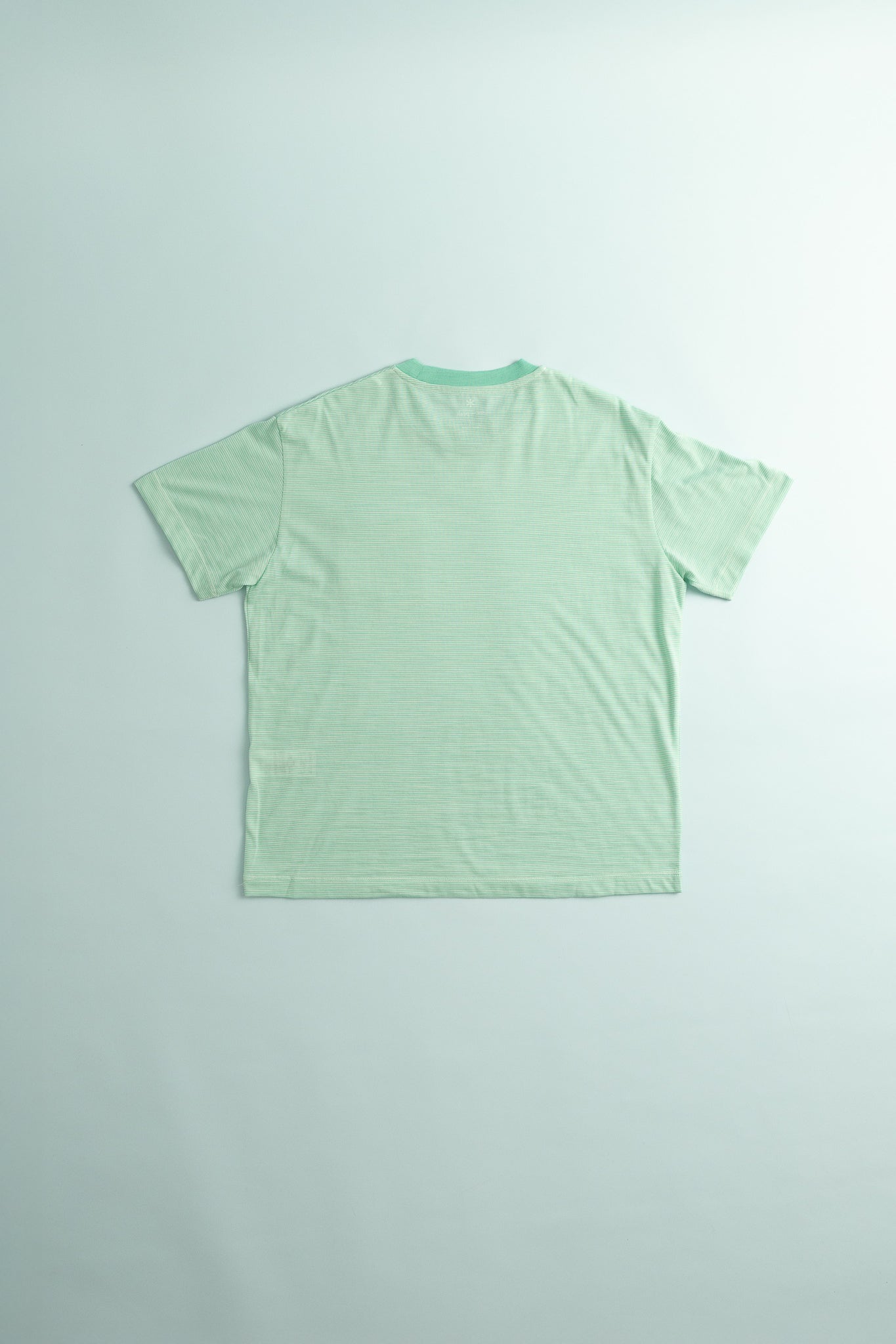Snow Peak Wool Stripe T-Shirt in Light Green, view 2.
