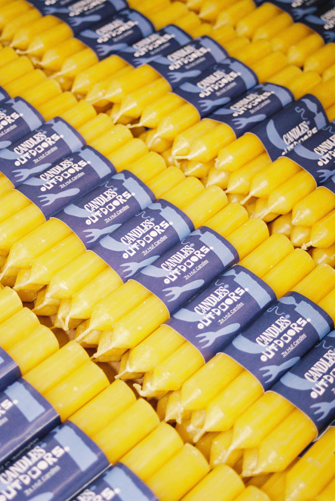 Candles Outdoors - vibrant yellow candles lined up with labels in a visually appealing arrangement.