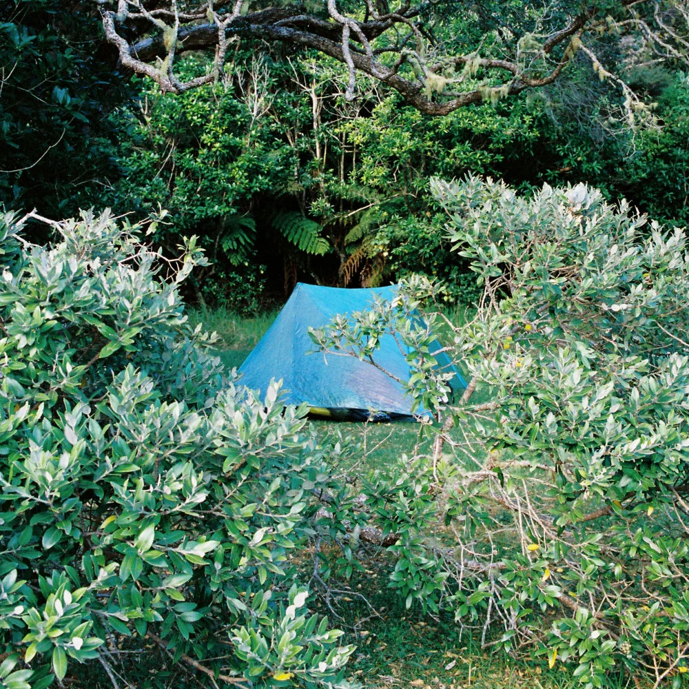A tent surrounded by lush greenery, representing outdoor adventures with Durston gear.