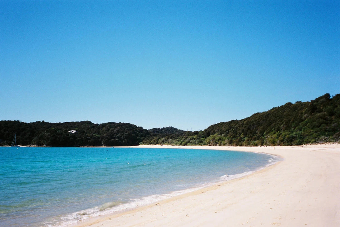 Stunning view of a beach at Abel Tasman with clear blue water and lush greenery on a sunny day.
