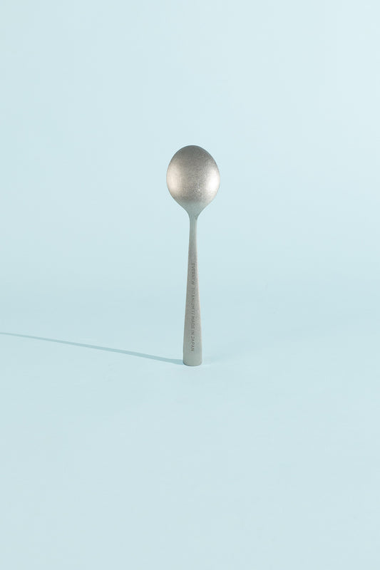 Titanium Spoon