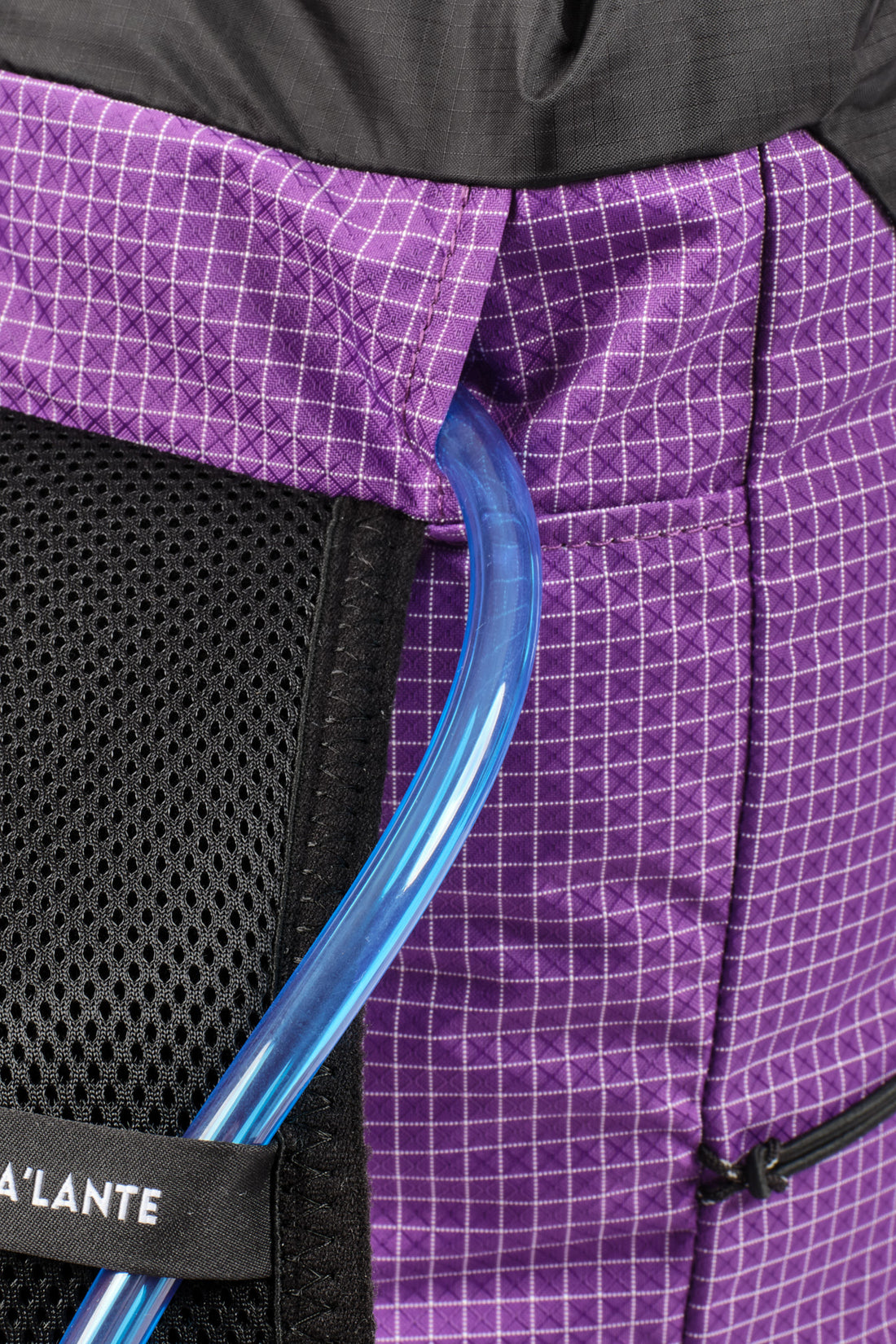 Joey - Purple Gridstop/Black Mesh