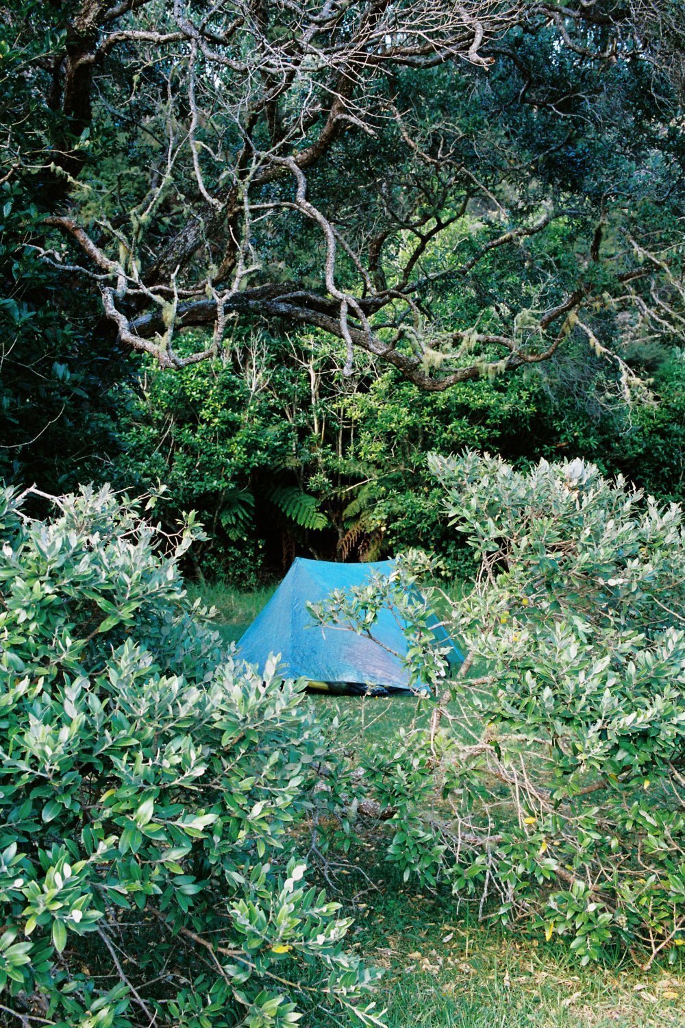 Durston X-Mid Pro 2 Tent | Coffee Outdoors