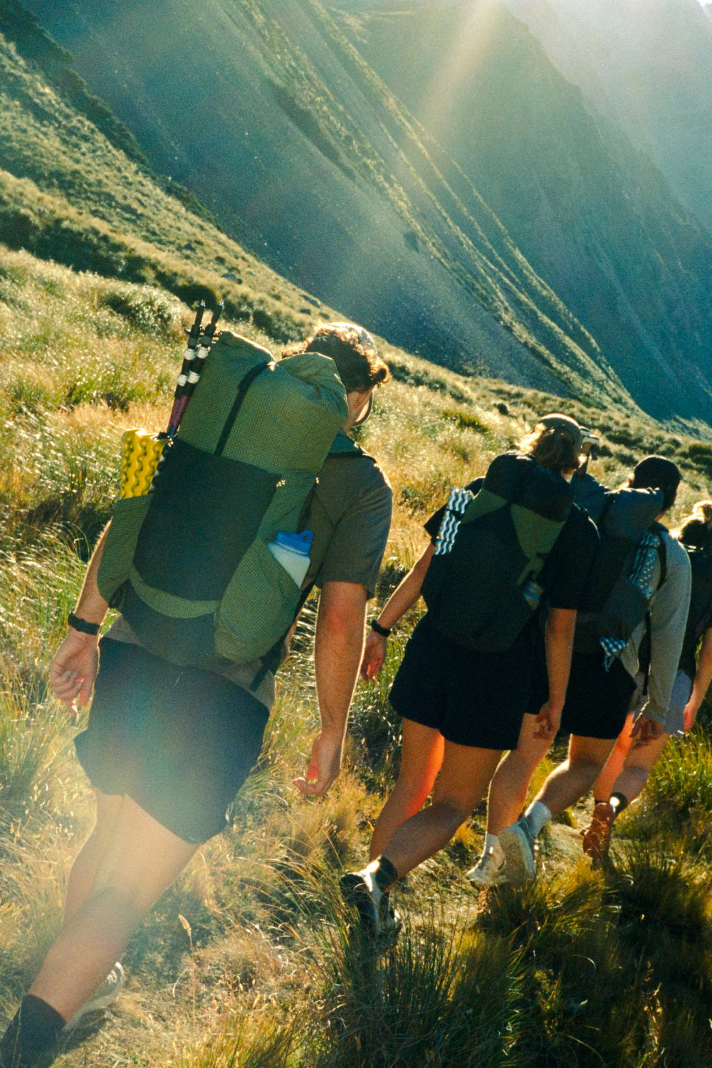 Desert Pack - Pine Gridstop/Black Mesh