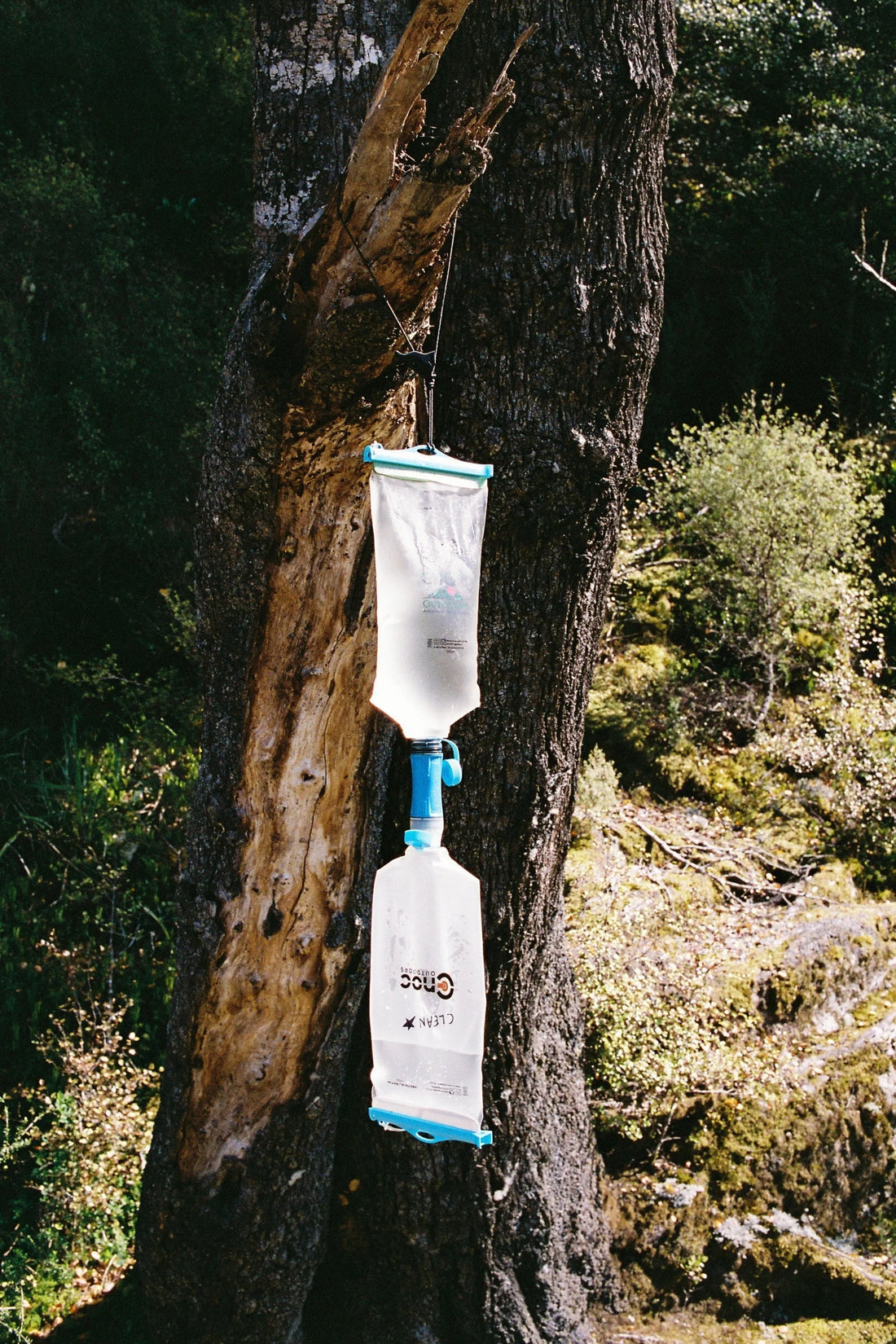 Gravity Water Filter System with two CNOC Vecto 2L Water Bladders hanging from a tree for outdoor water filtration.