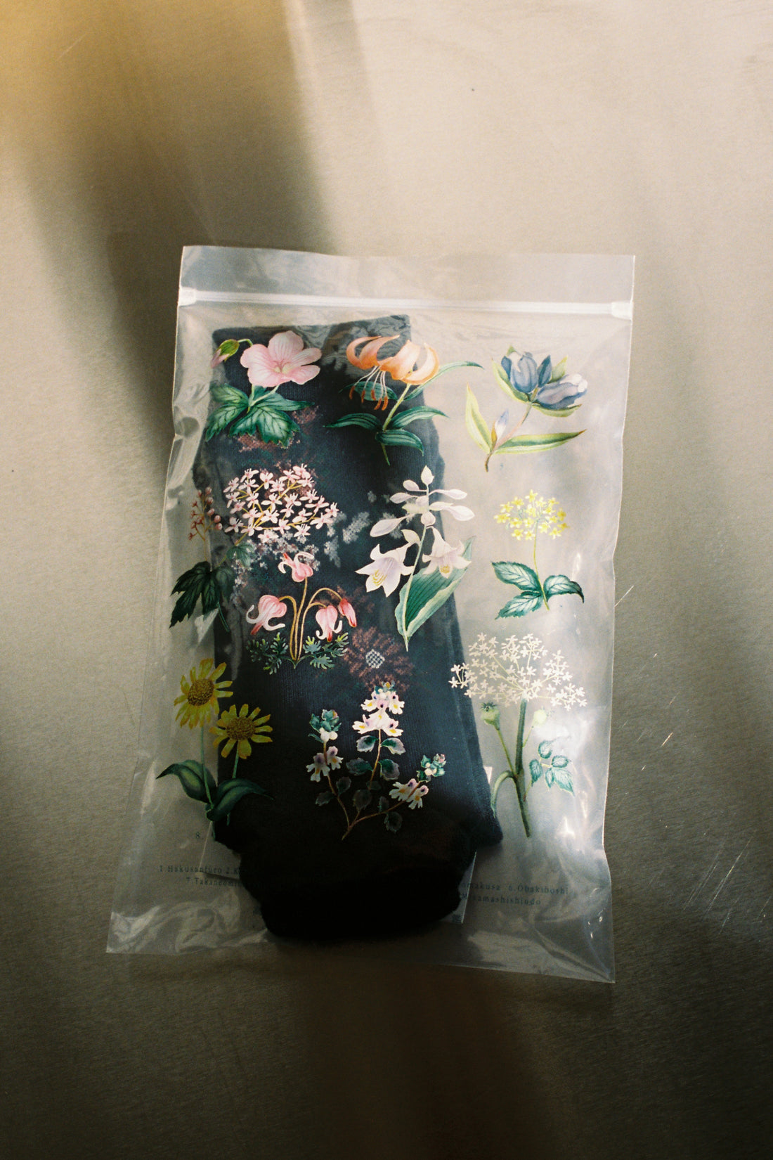 Laceflower Flower Of The Mountain Hiking Socks - Navy displayed in floral packaging.