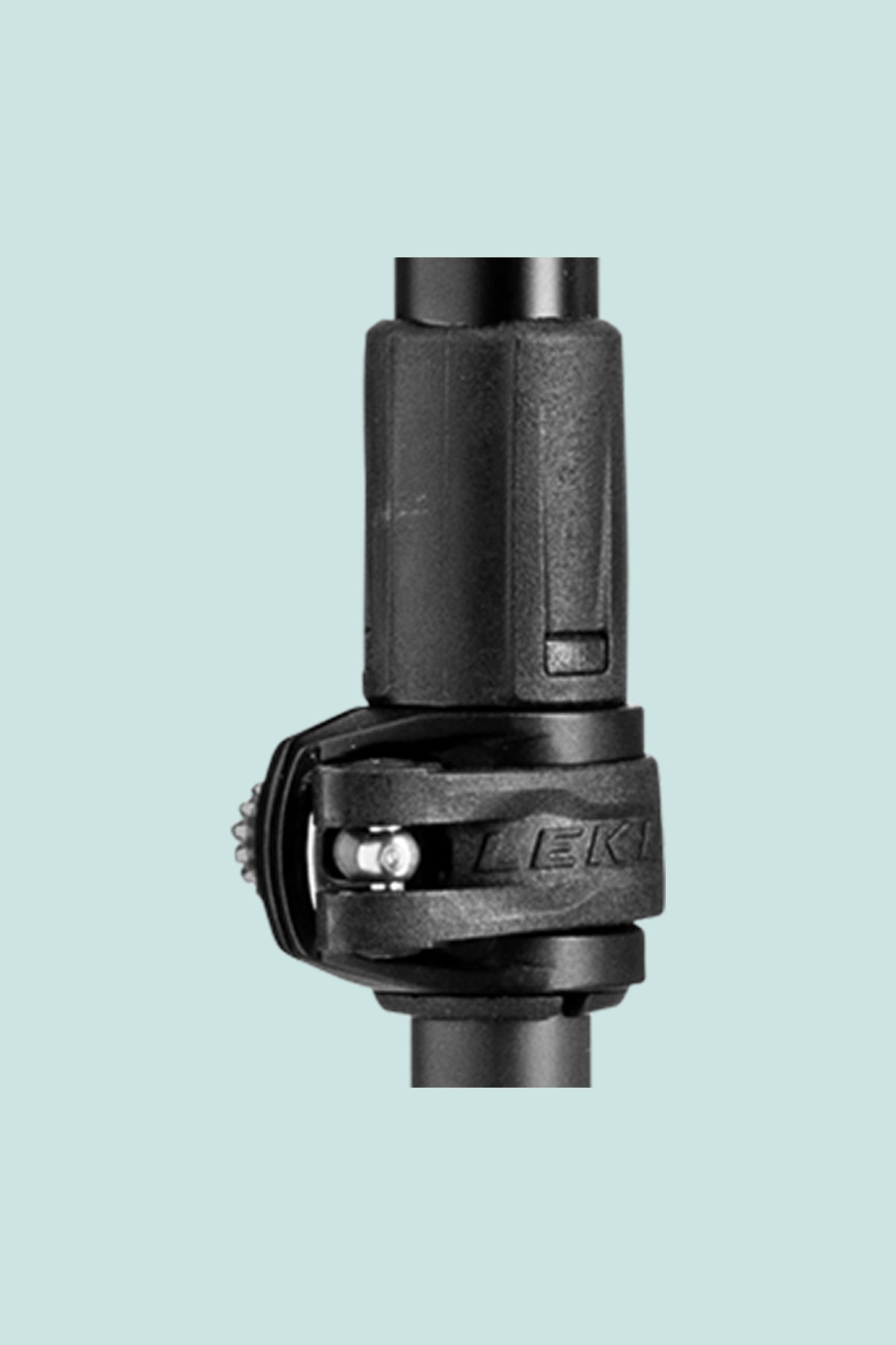Leki Black Series Carbon Poles