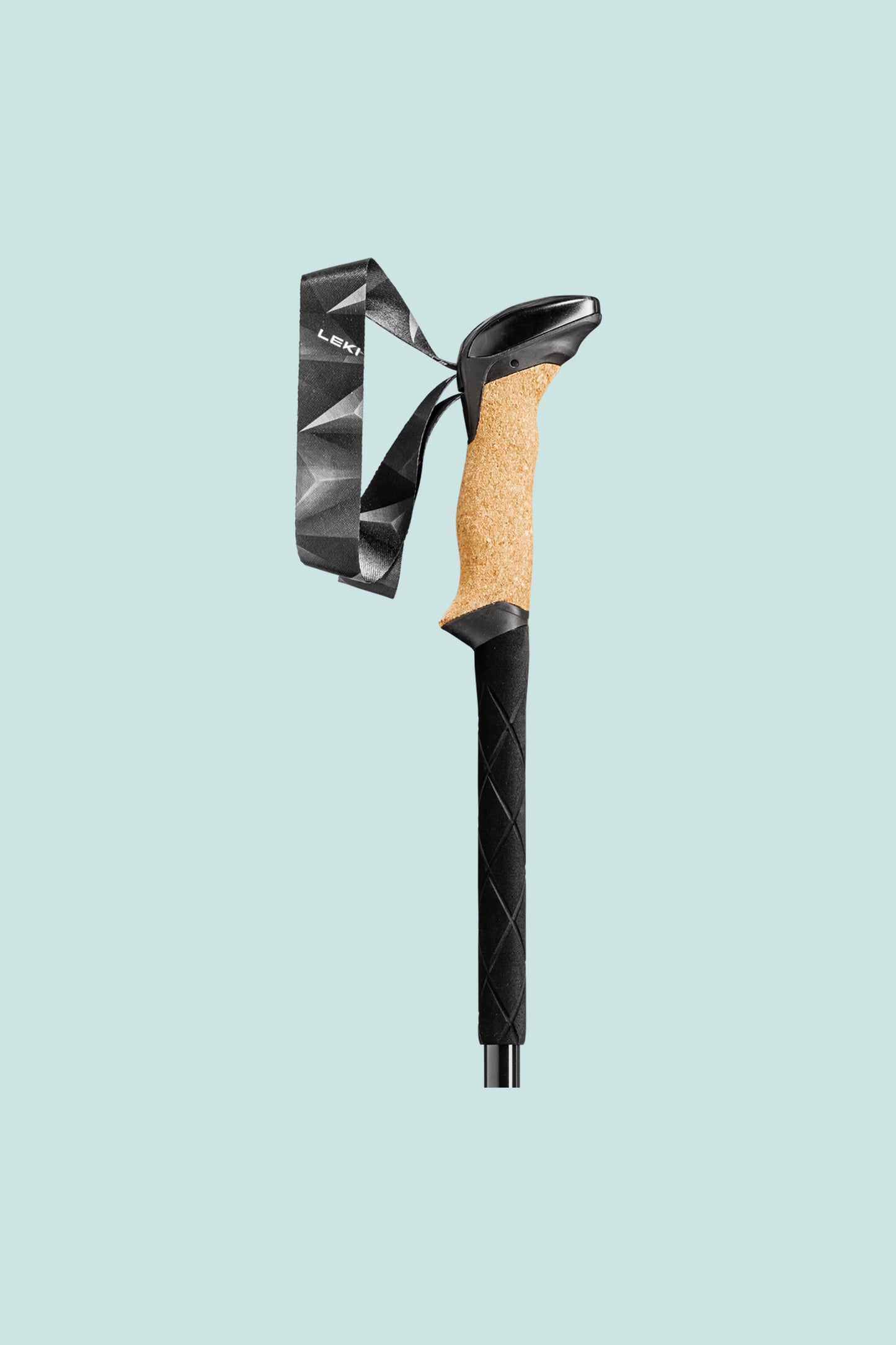Leki Black Series Carbon Poles