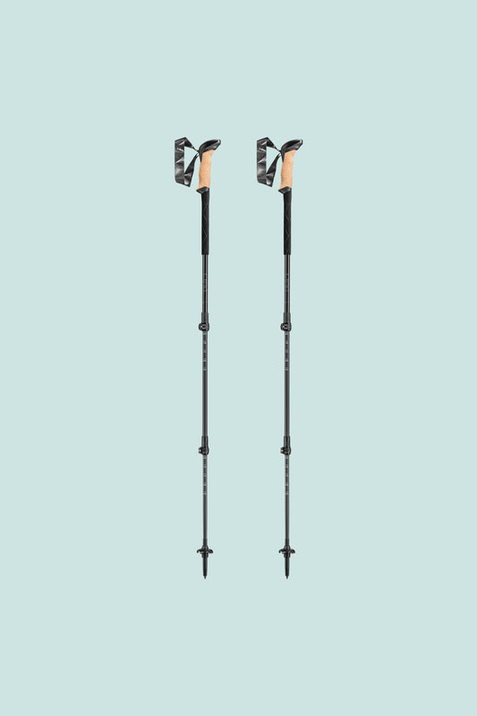 Leki Black Series Carbon Poles