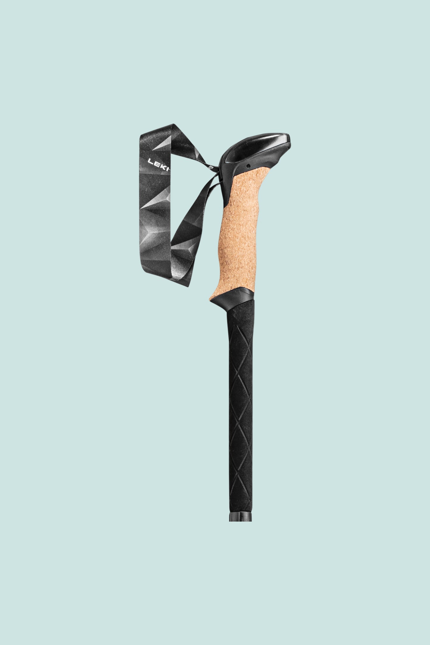 Leki Black Series FX Carbon Poles