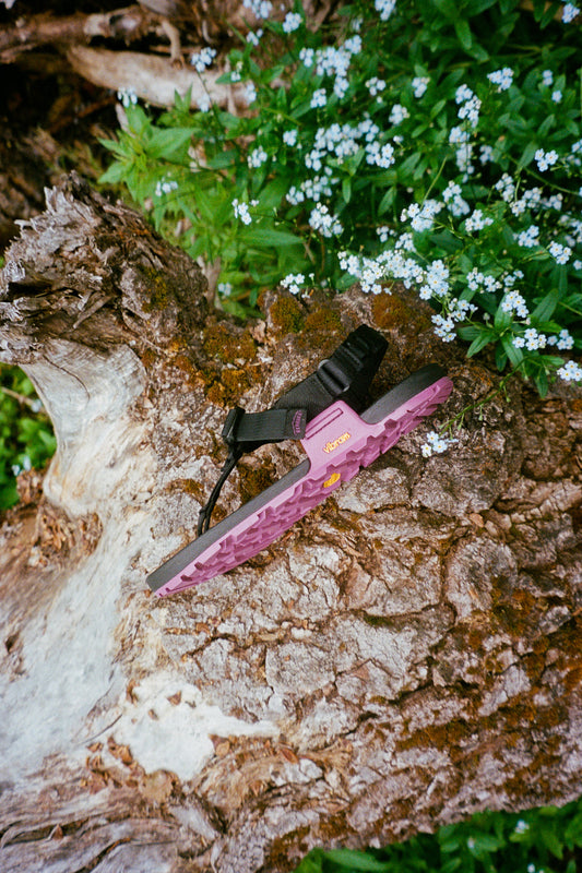 Pa'lante x Bedrock Sandals Cairn Evo 3D PRO Sandals displayed on a tree stump with flowers.