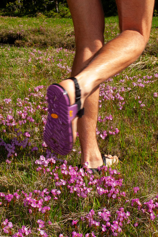Footsteps in vibrant outdoor flowers, showcasing Pa'lante x Bedrock Cairn Evo 3D PRO Sandals on a sunny hike.