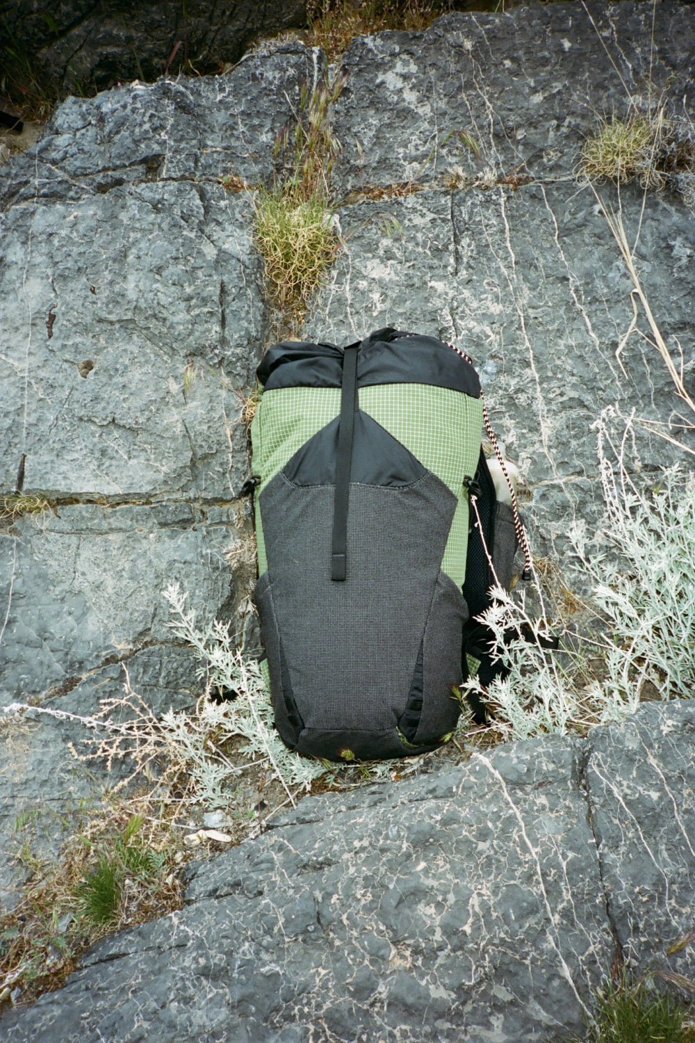 Pa'lante Joey - Pine Gridstop/Black Mesh | Coffee Outdoors