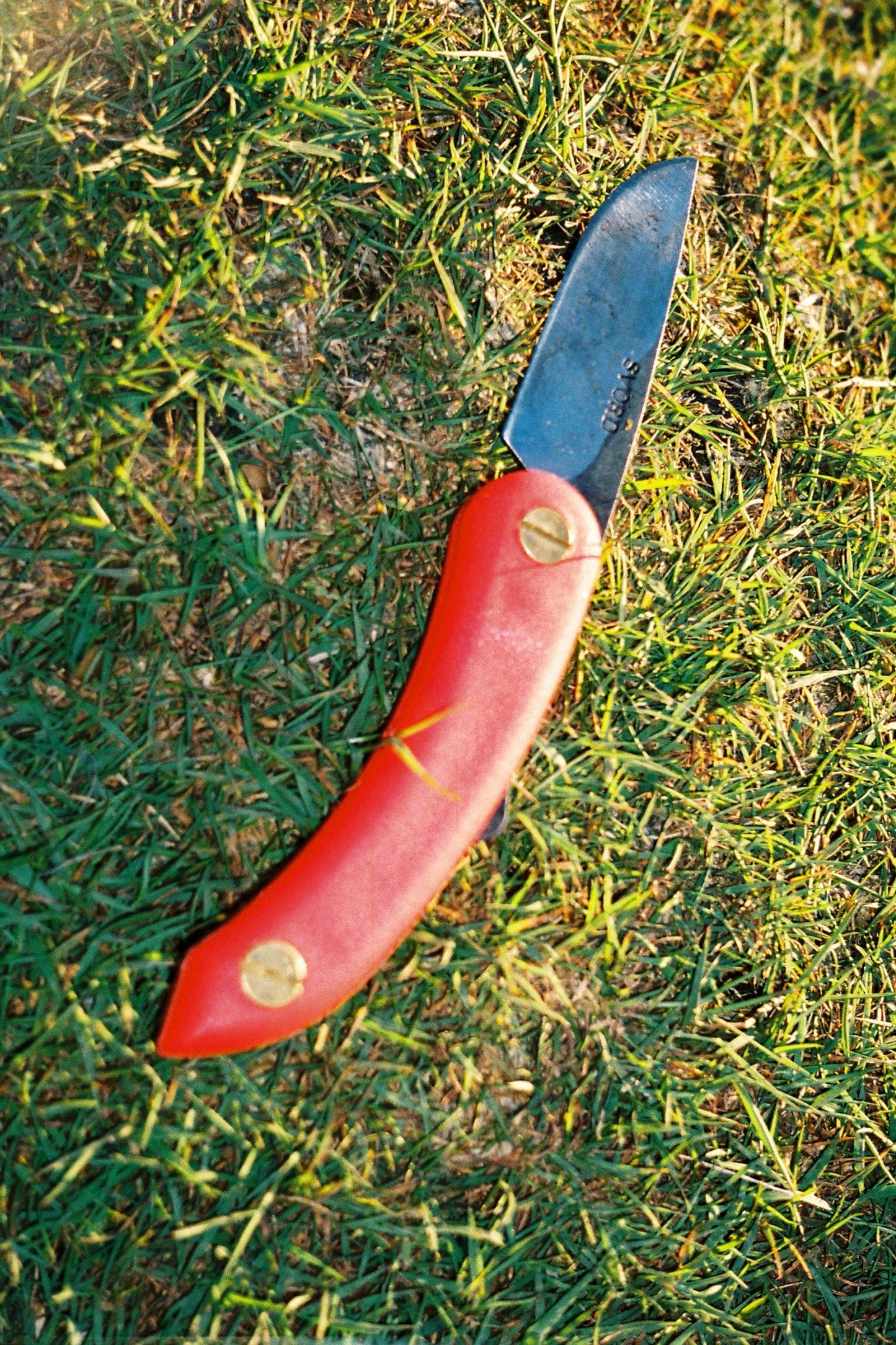 SVORD Peasant Knife Mini - Red | Coffee Outdoors