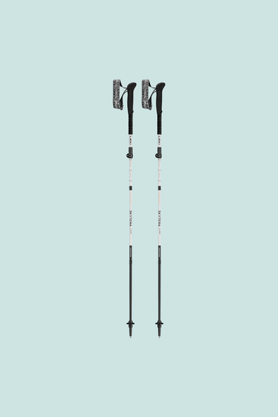 Skytera FX Carbon SL Poles