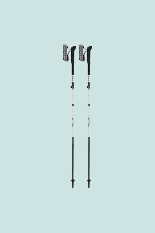 Skytera FX Carbon SL Poles