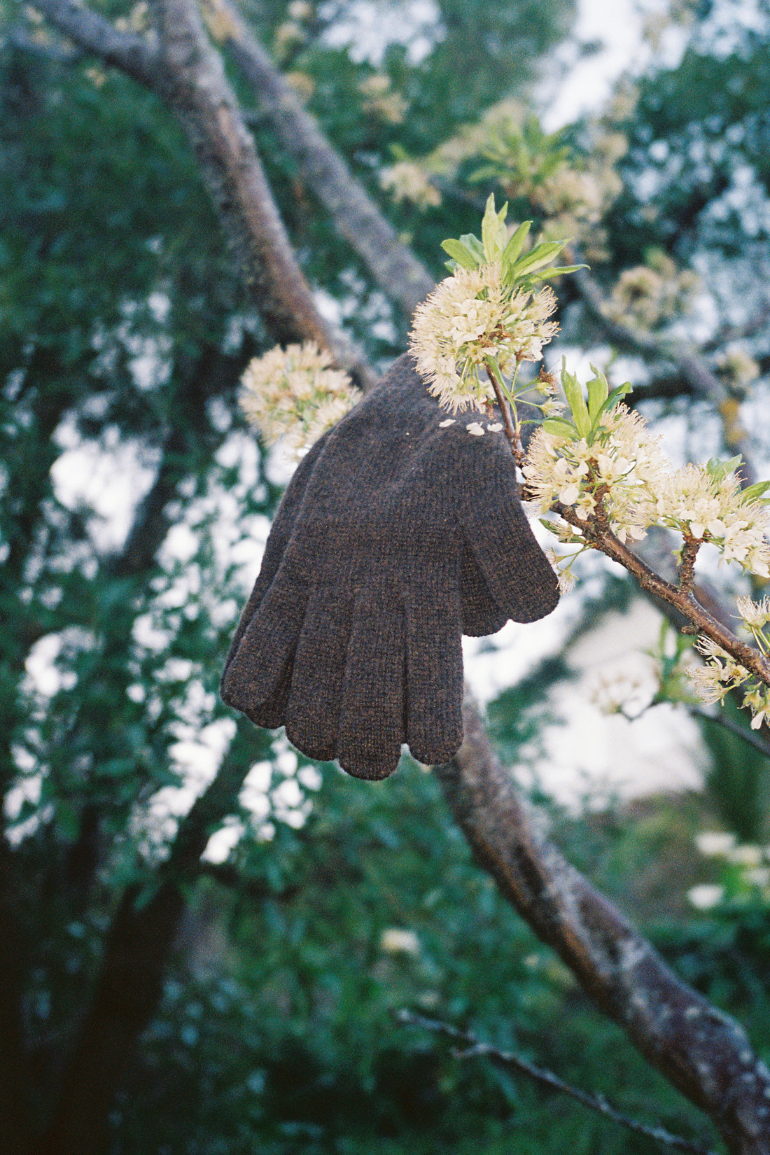 Washable Wool Knit Gloves - Dark Brown