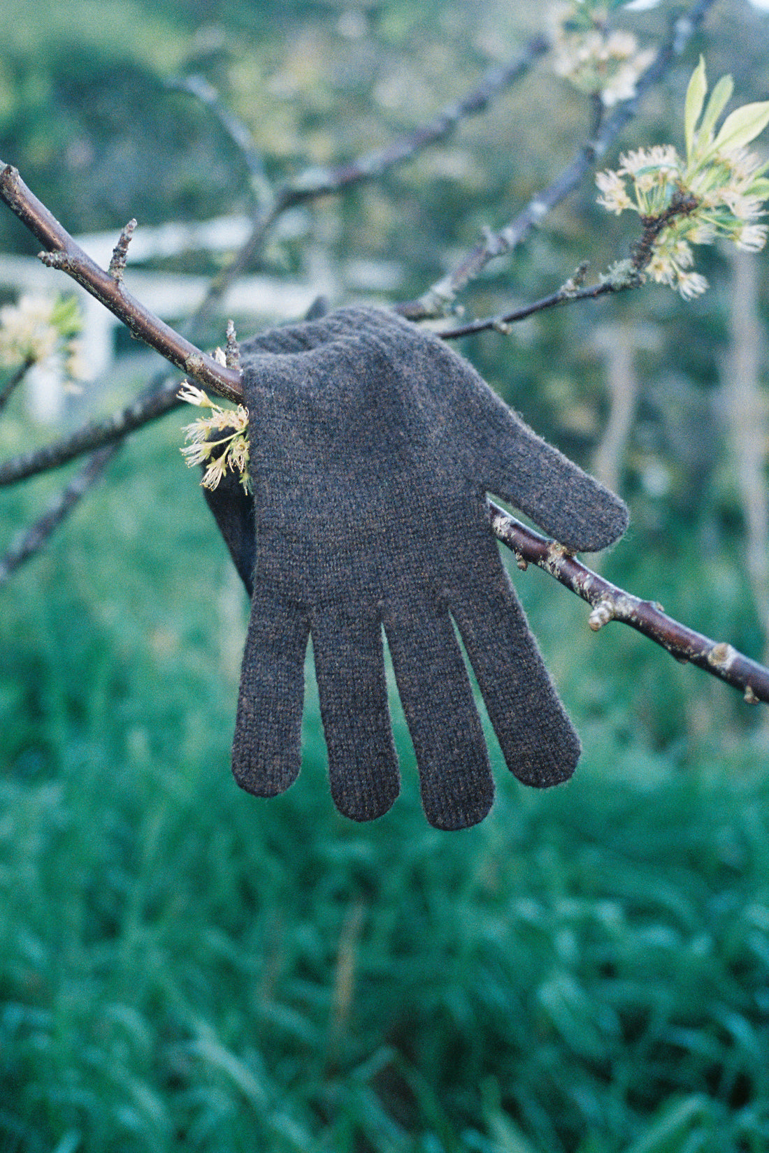 Washable Wool Knit Gloves - Dark Brown