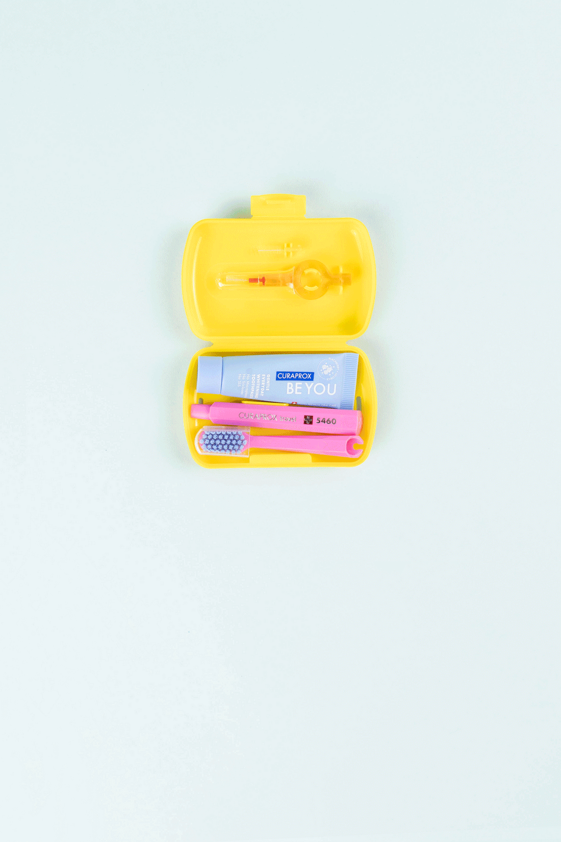 Travel Toothbrush Set