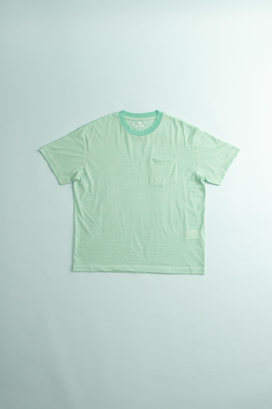 Snow Peak Wool Stripe T-Shirt in Light Green, view 1.
