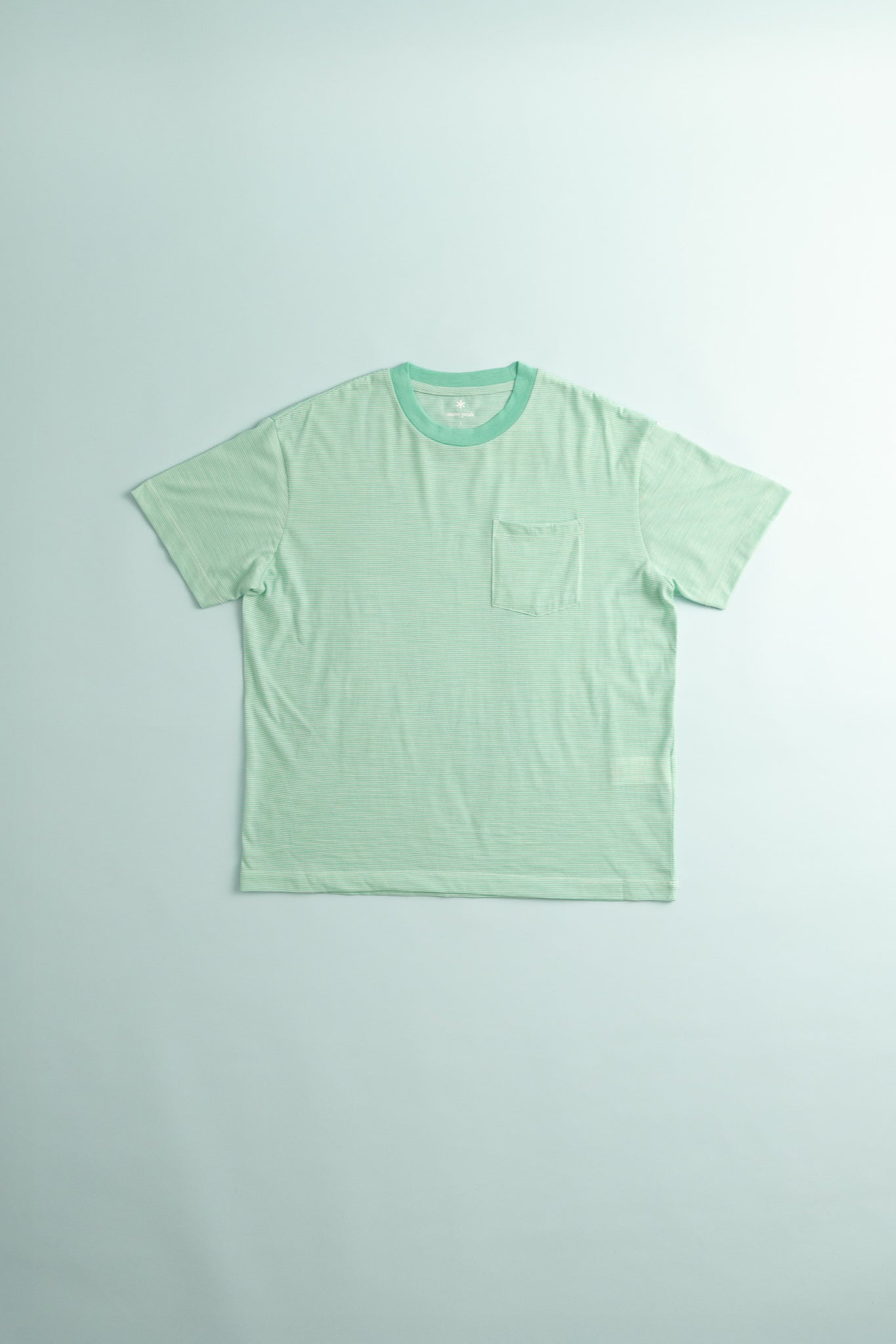 Wool Stripe T-Shirt - Light Green