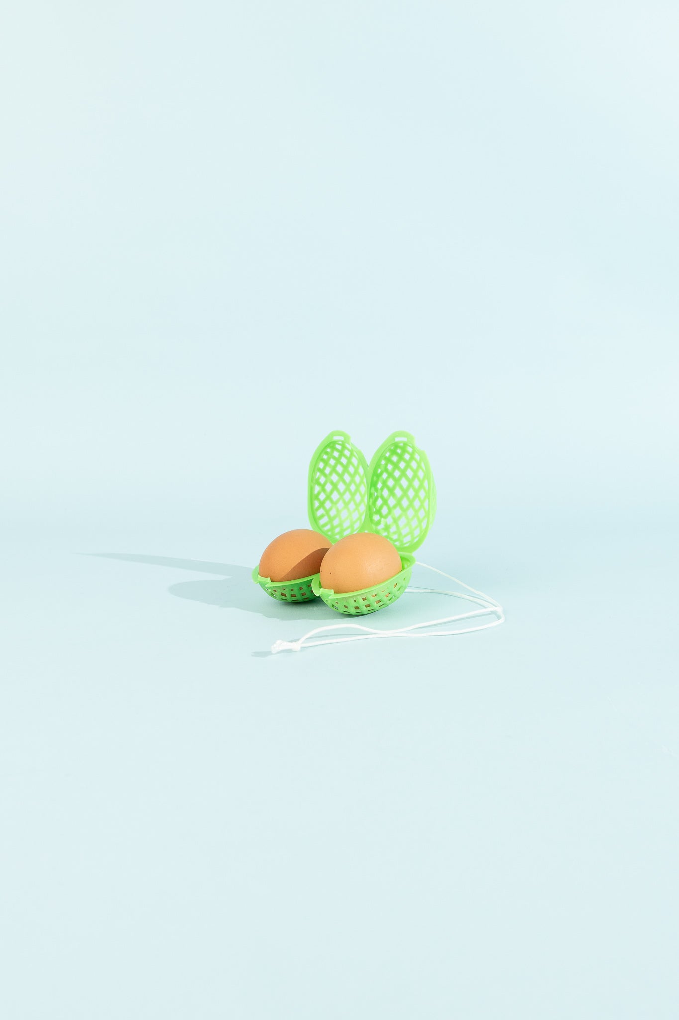 Two-Pack Egg Case