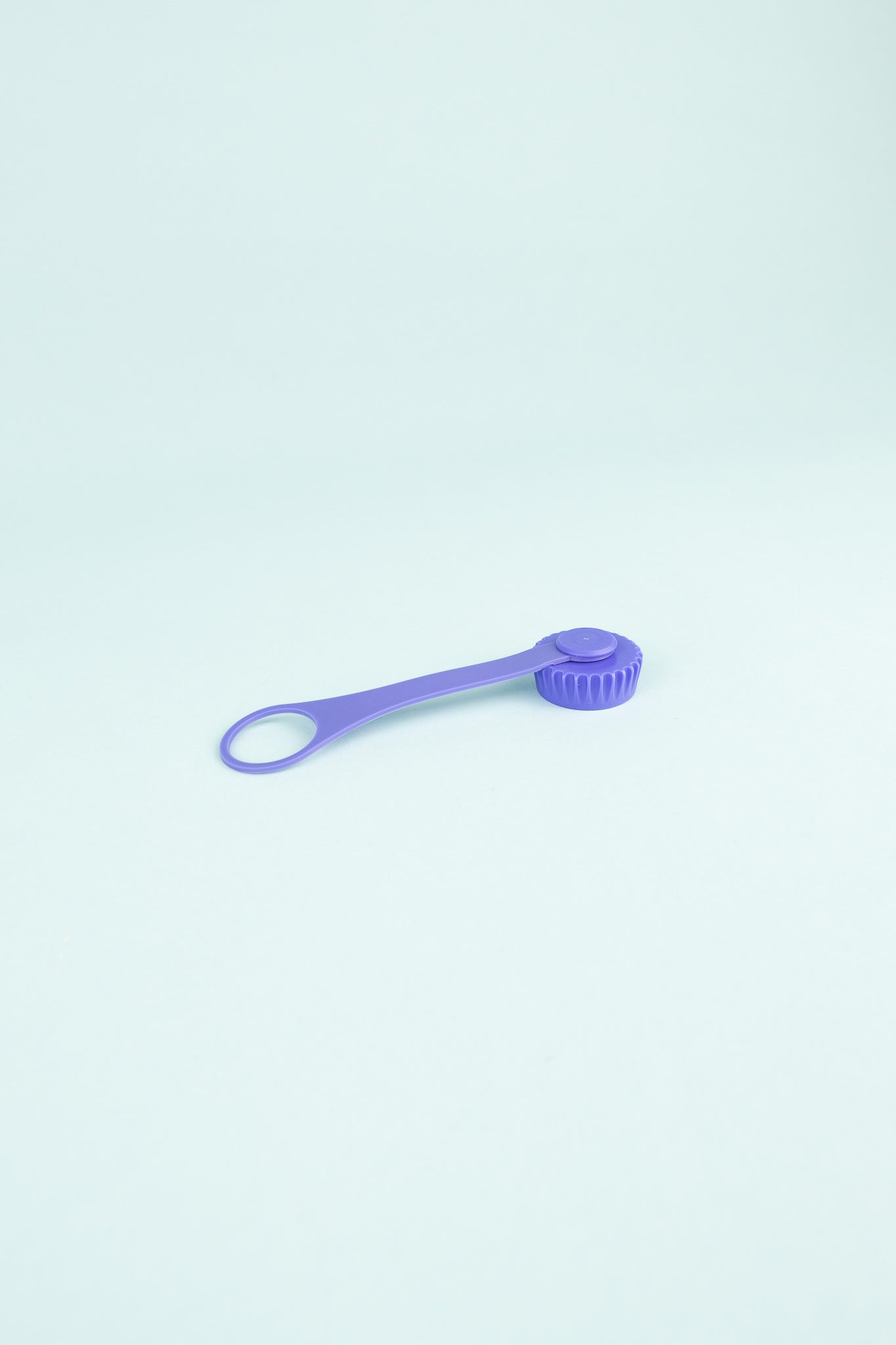 Bottle Cap & Tether - Amethyst