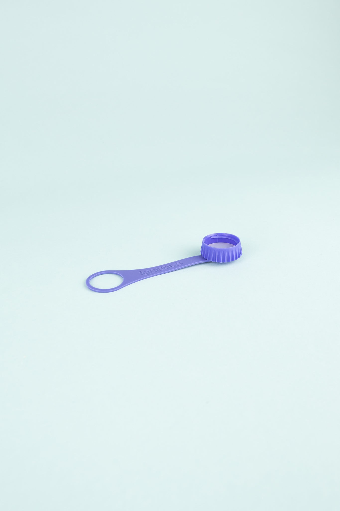 Bottle Cap & Tether - Amethyst
