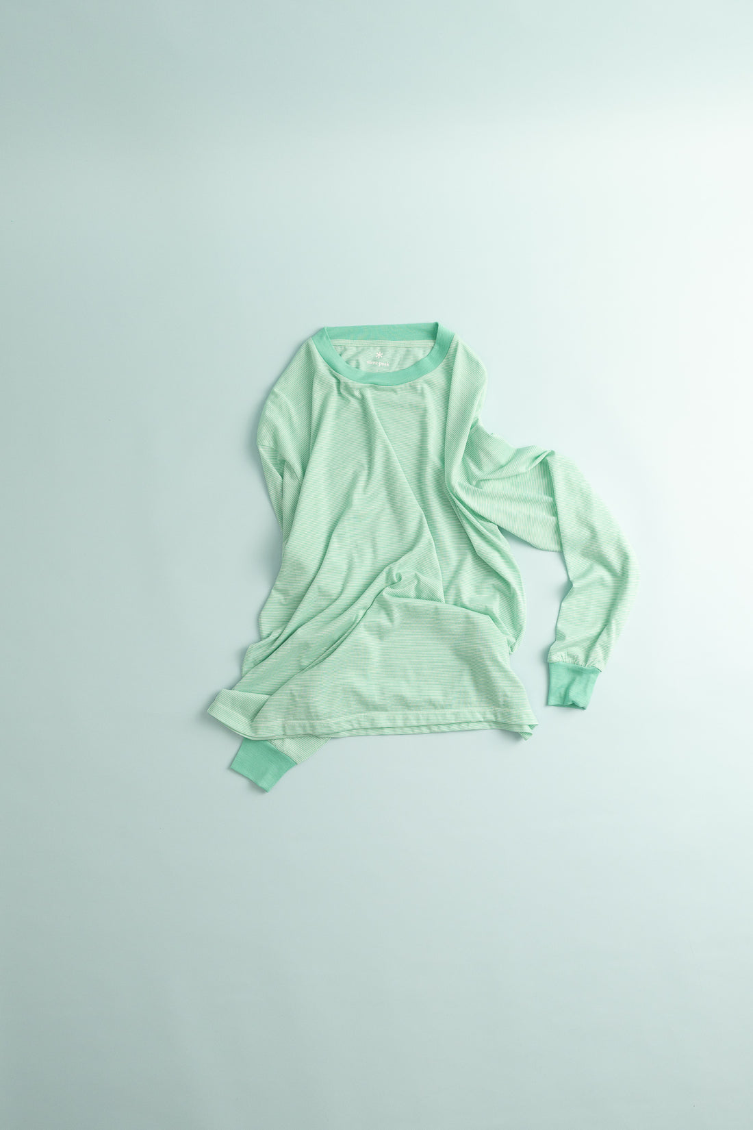 Snow Peak Wool Stripe L/S T-Shirt in Light Green, view 1.